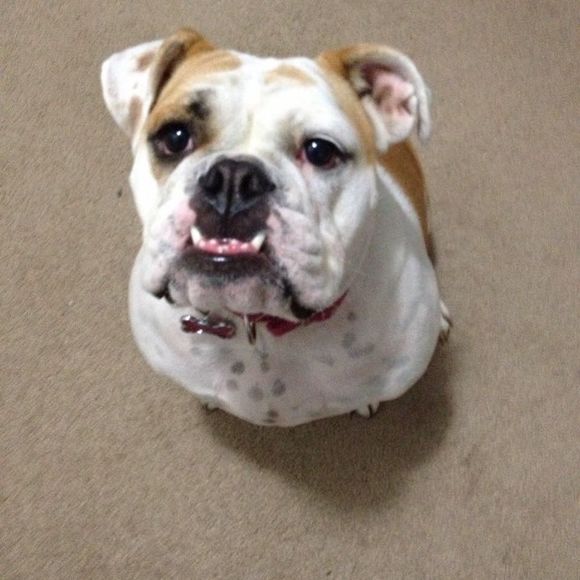 Meet your Posher, Andrew - Picture 1 of 1